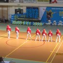 turta 201